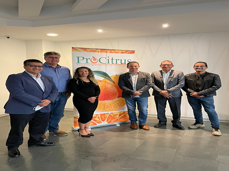 Proyecto UNE Australia - ProCitrus